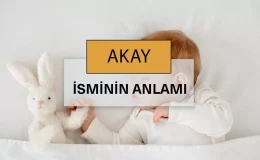 Akay isminin anlamı nedir? Akay ne demek, kelime anlamı ve kökeni